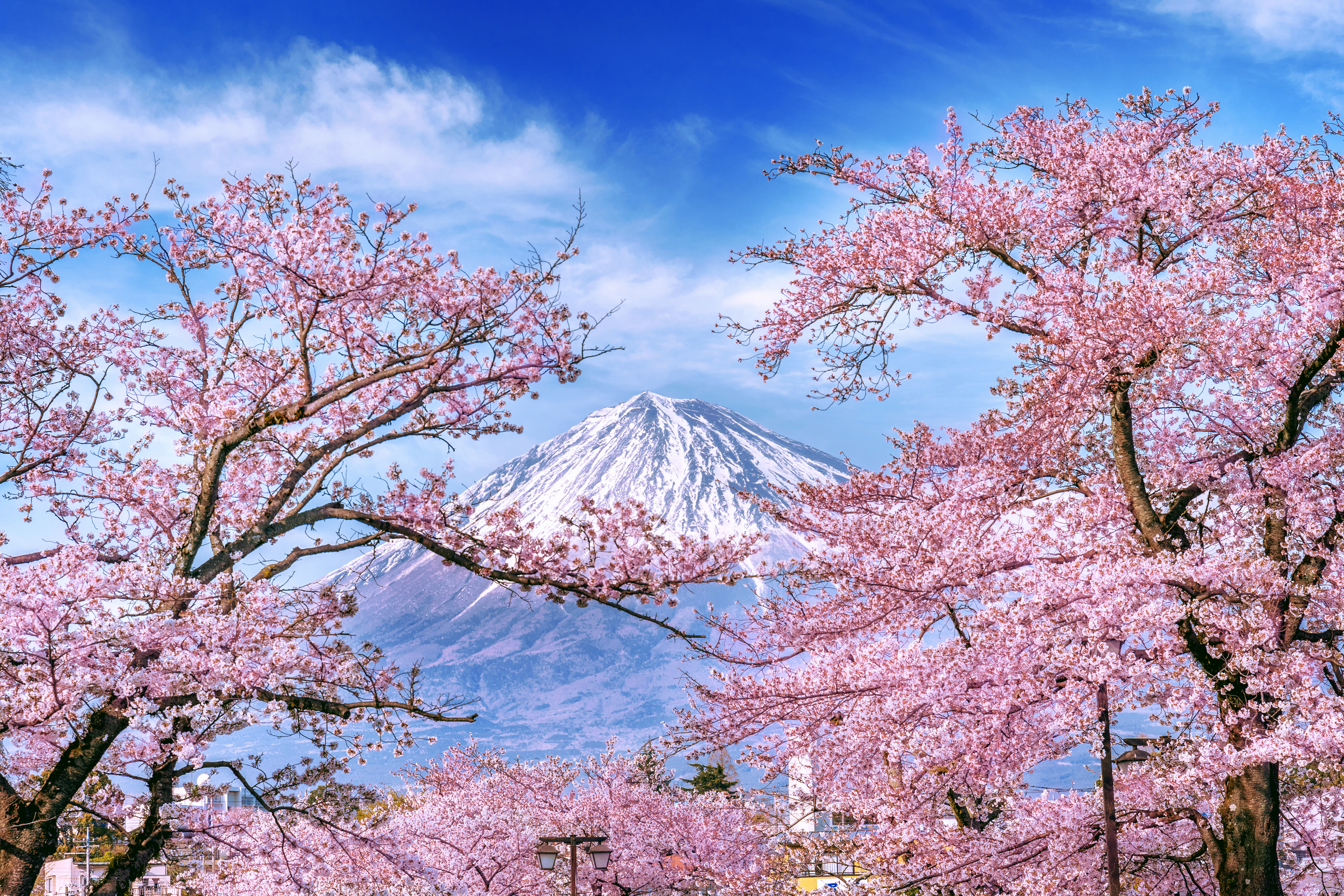 JAPÓN