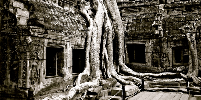 ta-prohm-angkor-siem-reap