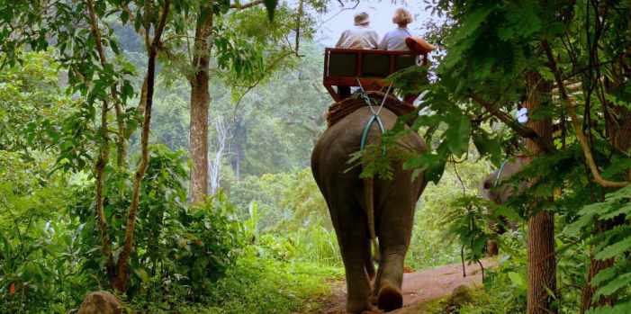 34-750-2018912104225-elephant-riding-mae-hong-son