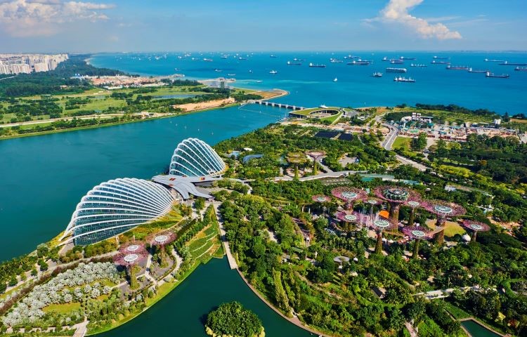 singapore--garden-by-the-bay--supertree-grove-638256268-fa59e7e78b6449aaa40f68eafe6ff1a1