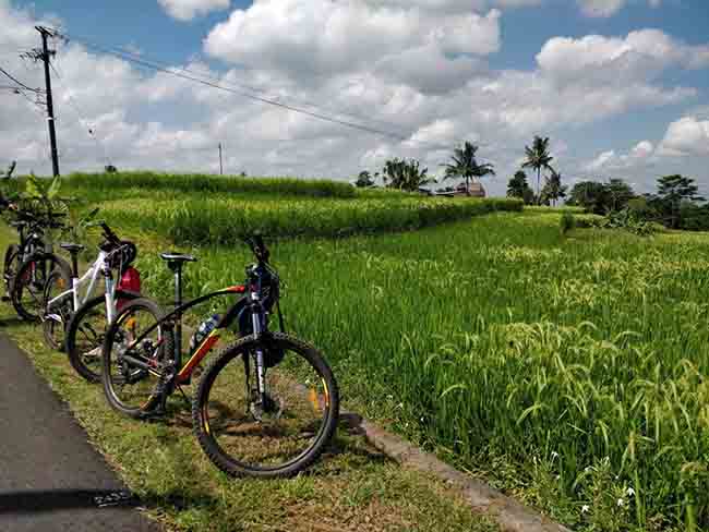 ciclismo-en-terrazas-de-arroz