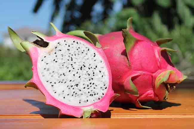 pitaya