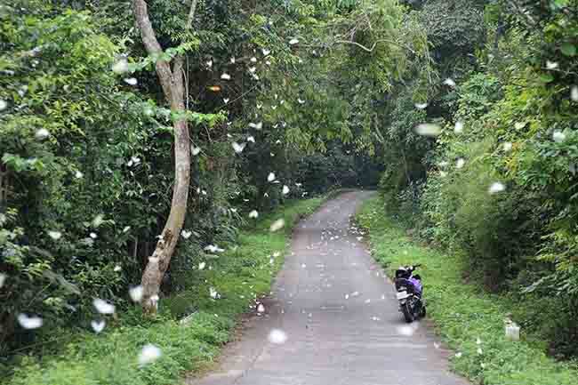 parque-nacional-Cuc-Phuong