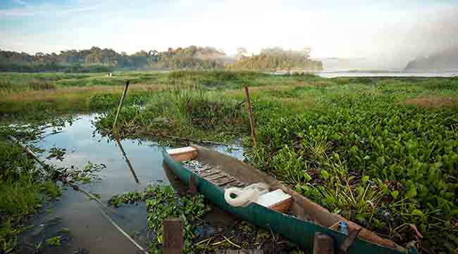 parque-nacional-Cat-Tien